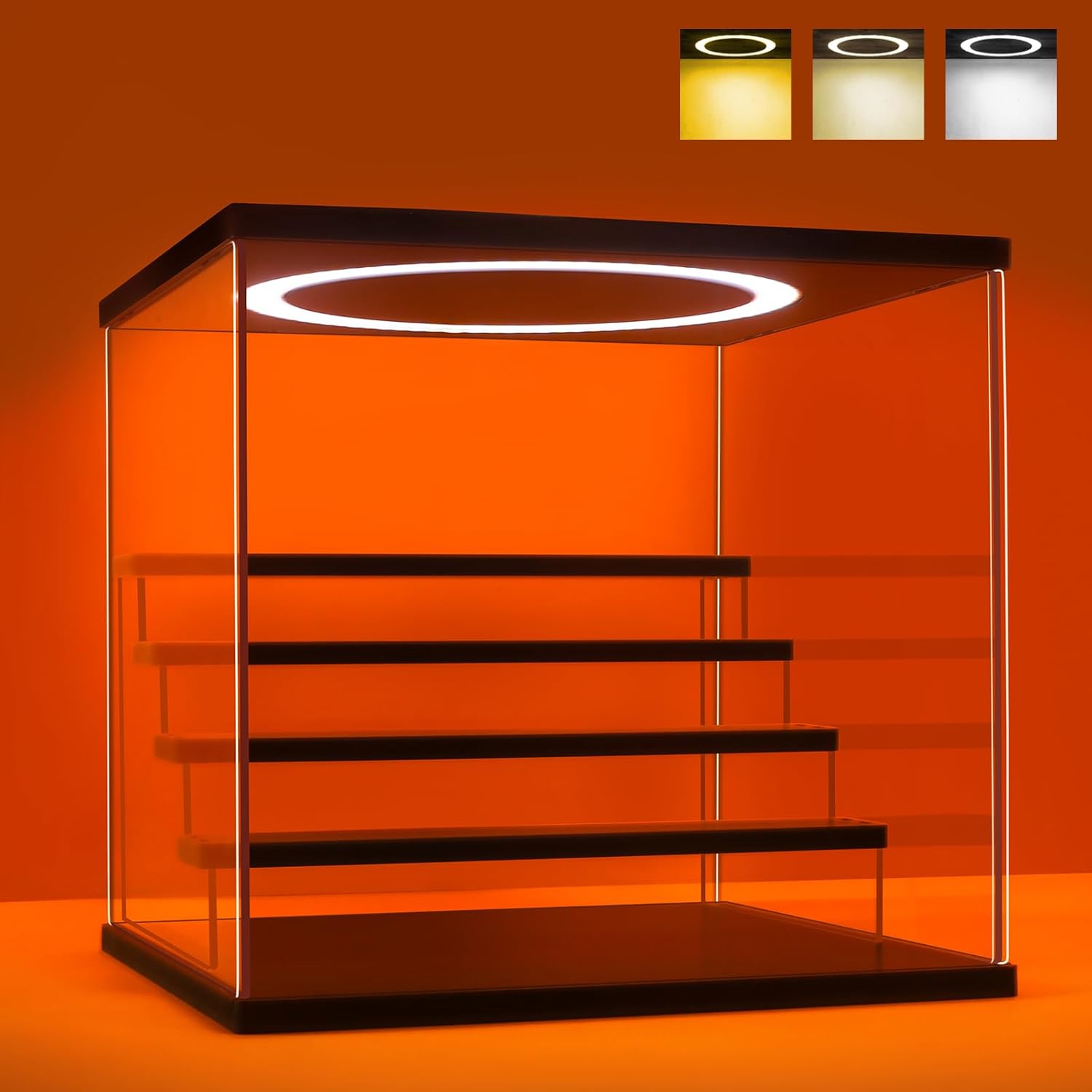 Acrylic Display Case with Adju - đánh giá và giá Lighting & Home Decor Studio Photos